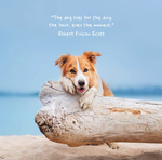 2024 Dogs Life Calendar alternate 1