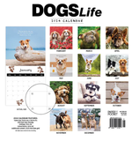 2024 Dogs Life Calendar alternate 3