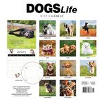 2027 Dogs Life Calendar alternate 3