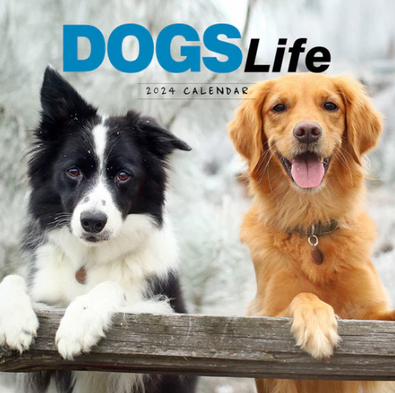 2024 Dogs Life Calendar cover