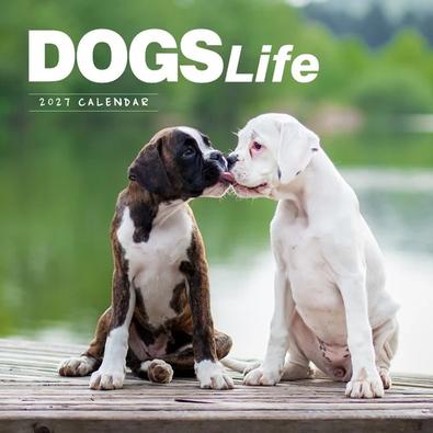 2027 Dogs Life Calendar cover