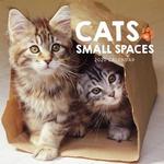 2020 Cats in Small Places Diary