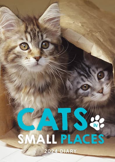 2025 Cats In Small Places Diary cover