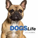 2020 Dogs Life Diary