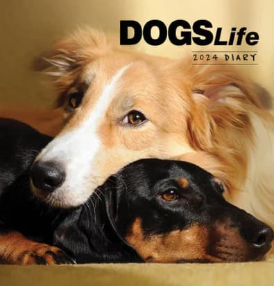 2025 Dogs Life Diary cover