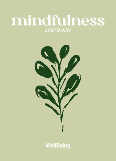 2027 Wellbeing Mindfulness Diary cover