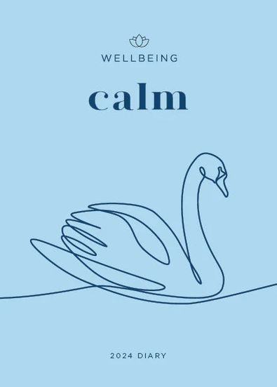2024 Wellbeing Calm Diary cover