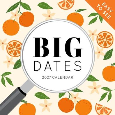 2027 Big Dates Easy-To-See Calendar cover