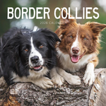 2026 Border Collies Calendar thumbnail
