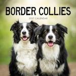 2027 Border Collies Calendar