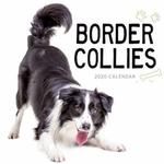 Border Collies 2020 Calendar