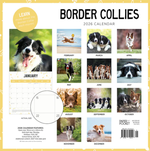 2026 Border Collies Calendar alternate 3