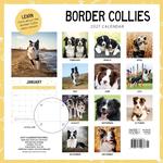 2027 Border Collies Calendar alternate 3