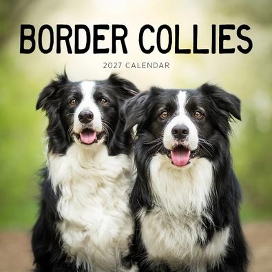 2027 Border Collies Calendar cover