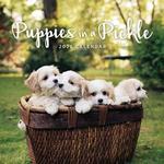 2026 Puppies in a Pickle Calendar thumbnail