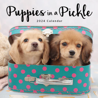 2024 Puppies in a Pickle Calendar cover