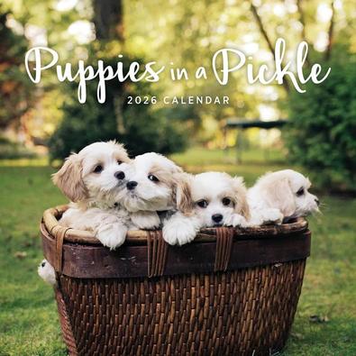 2026 Puppies in a Pickle Calendar cover