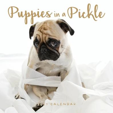 2027 Puppies in a Pickle Calendar cover
