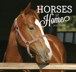 2024 Australian Horses at Home Diary thumbnail