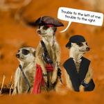 2027 Gangs of Meerkat Manor Calendar alternate 1