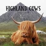 Highland Cows 2020 Calendar