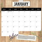 2025 Highland Cows Calendar alternate 2