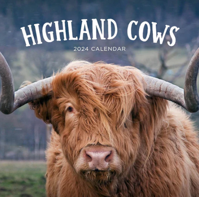 2024 Highland Cows Calendar cover
