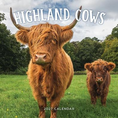 2027 Highland Cows Calendar cover