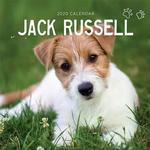 Jack Russell 2020 Calendar