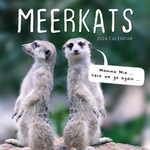 2024 Meerkats Calendar thumbnail