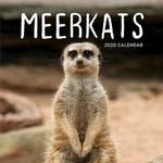 Meerkats 2020 Calendar