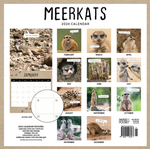 2024 Meerkats Calendar alternate 3