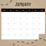 2026 Meerkats Calendar alternate 2