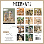 2026 Meerkats Calendar alternate 3
