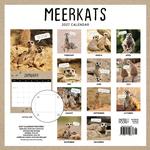 2027 Meerkats Calendar alternate 3