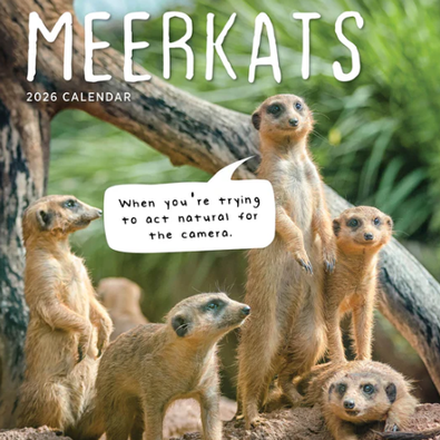 2026 Meerkats Calendar cover