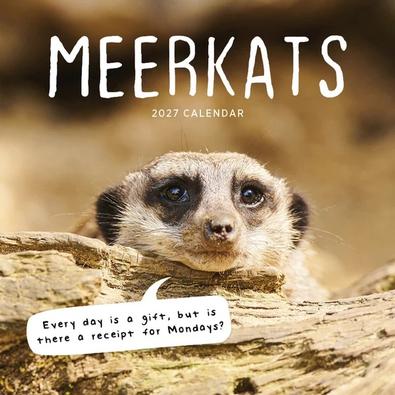 2027 Meerkats Calendar cover