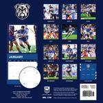 2027 NRL Canterbury- Bankstown Bulldogs Calendar alternate 3