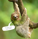 2024 Sloths Calendar alternate 1