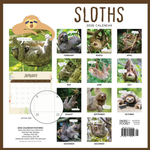 2026 Sloths Calendar alternate 3