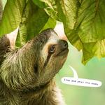 2027 Sloths Calendar alternate 1