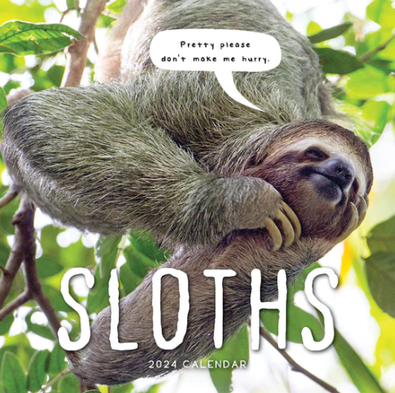 2024 Sloths Calendar cover