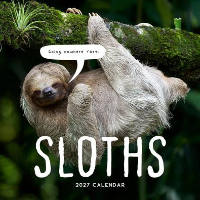 2027 Sloths Calendar cover