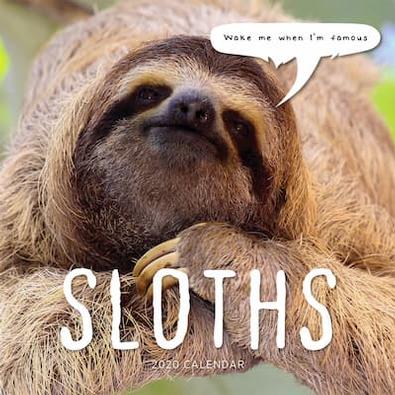 Sloths 2020 Calendar cover