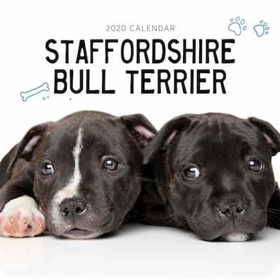 Staffordshie Bull Terriers 2020 Calendar cover