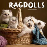 2026 Ragdolls Calendar thumbnail