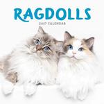 2027 Ragdolls Calendar