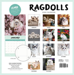2026 Ragdolls Calendar alternate 3