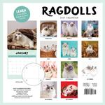2027 Ragdolls Calendar alternate 3