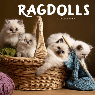 2026 Ragdolls Calendar cover